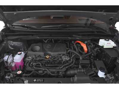 2025 Toyota Sienna Platinum 7 Passenger