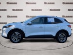 2022 Ford Escape Hybrid SEL
