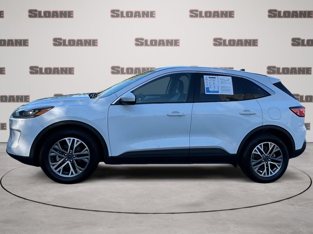 2022 Ford Escape Hybrid SEL