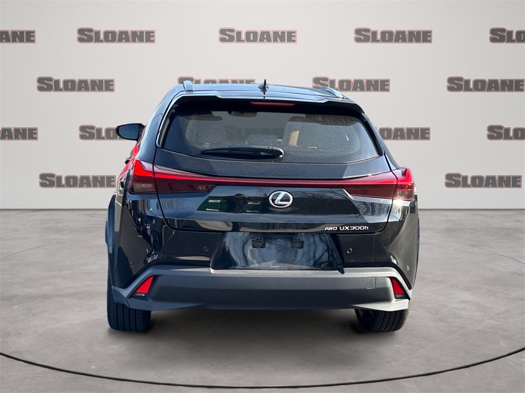 2025 Lexus UX 300h Premium