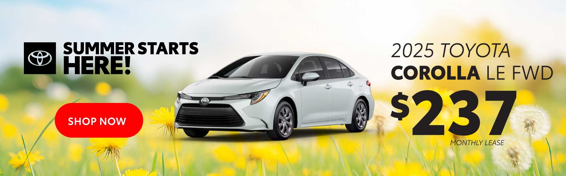 Exquisite Toyota Corolla Lease Deals Capture Illustration Exquisite Toyota Corolla Lease Deals Capture Illustration